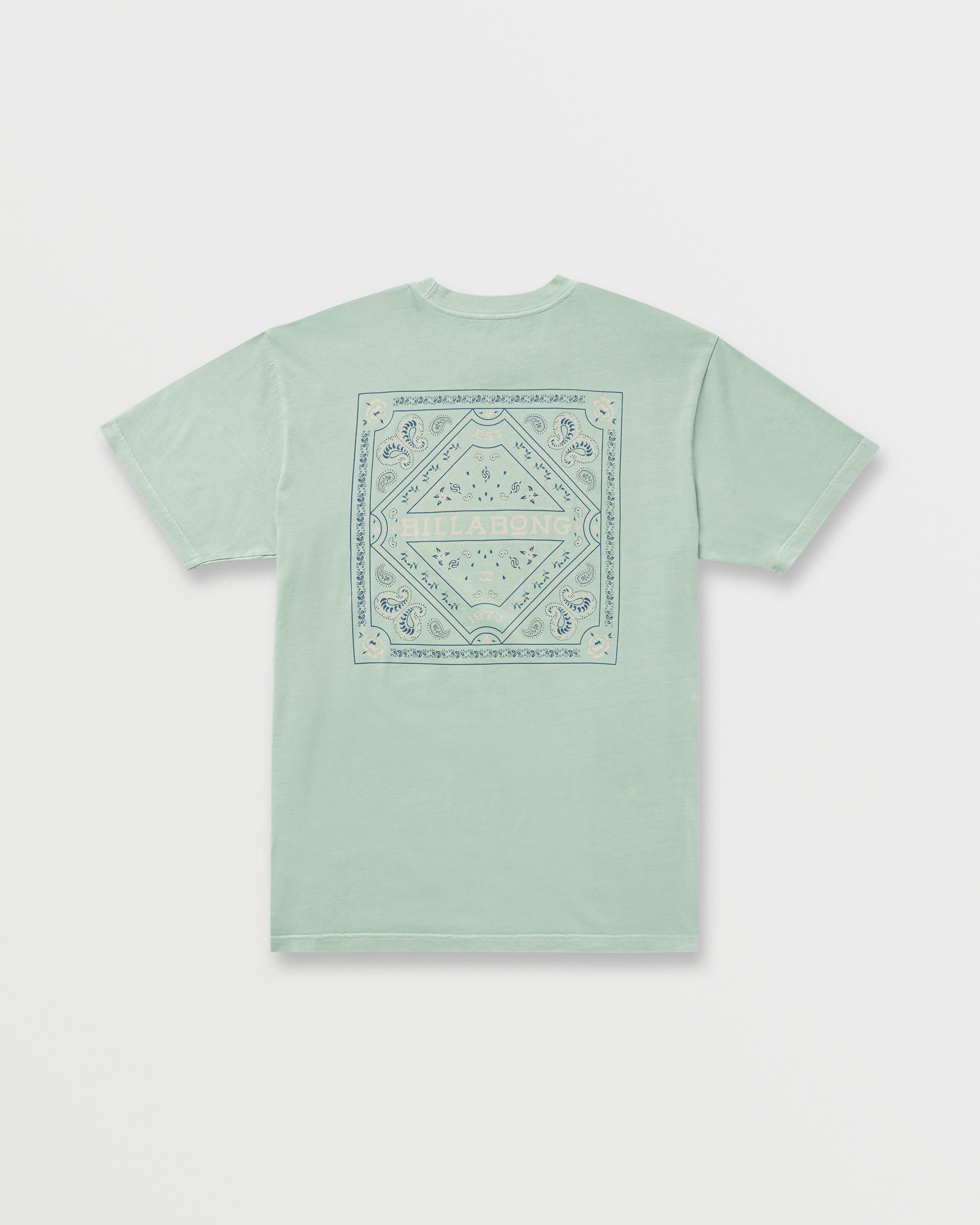 Paise Haze Premium Wave Wash Tee - Mist Green - Image 4